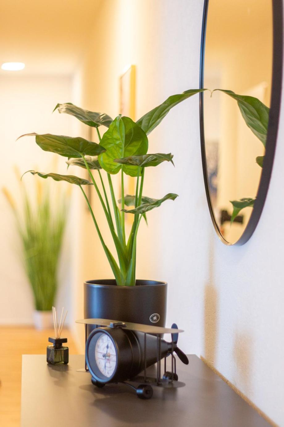 Special Einstein II Apartment Basel, Messe Kleinbasel 10-Star Екстер'єр фото