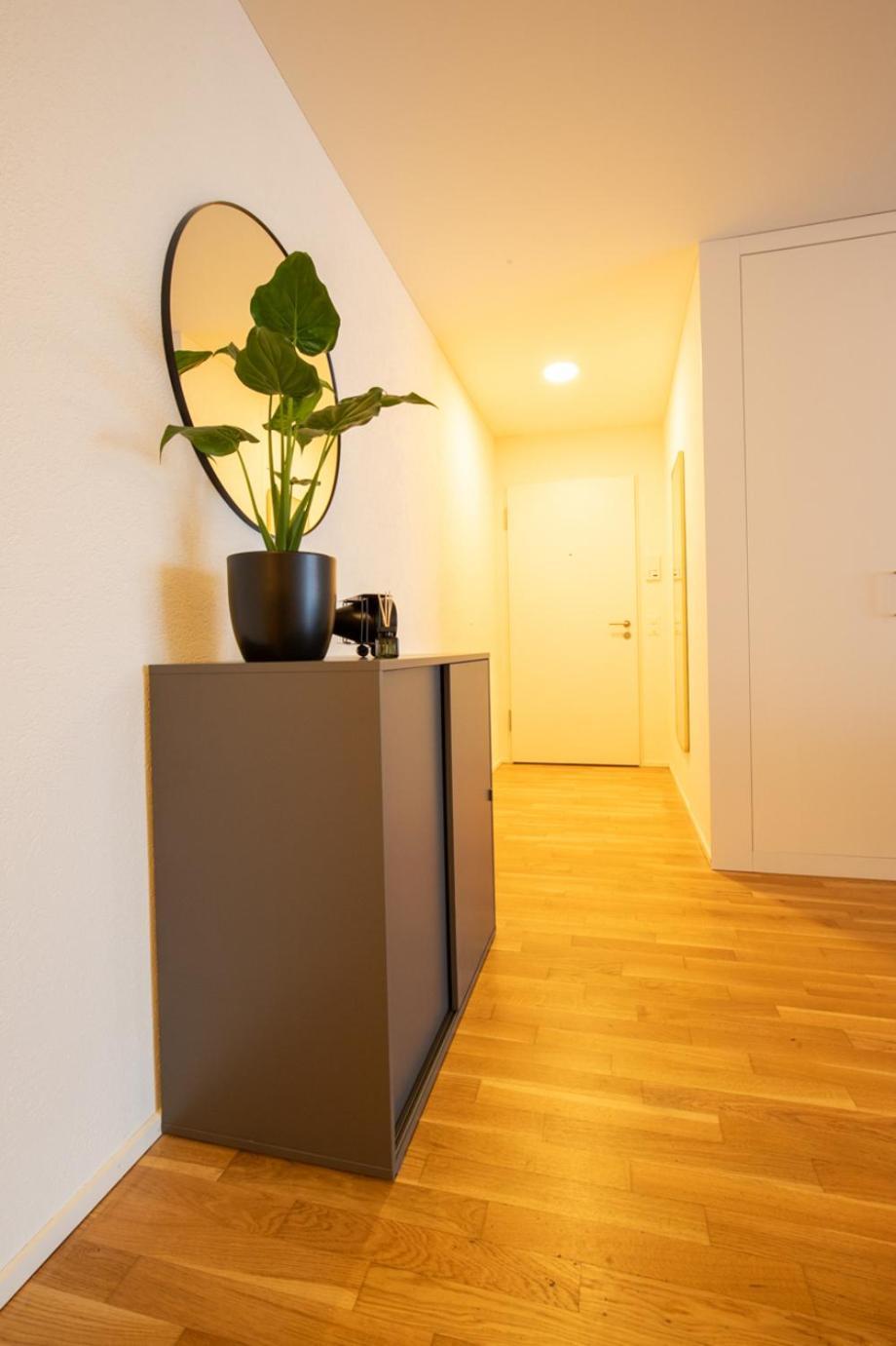 Special Einstein II Apartment Basel, Messe Kleinbasel 10-Star Екстер'єр фото