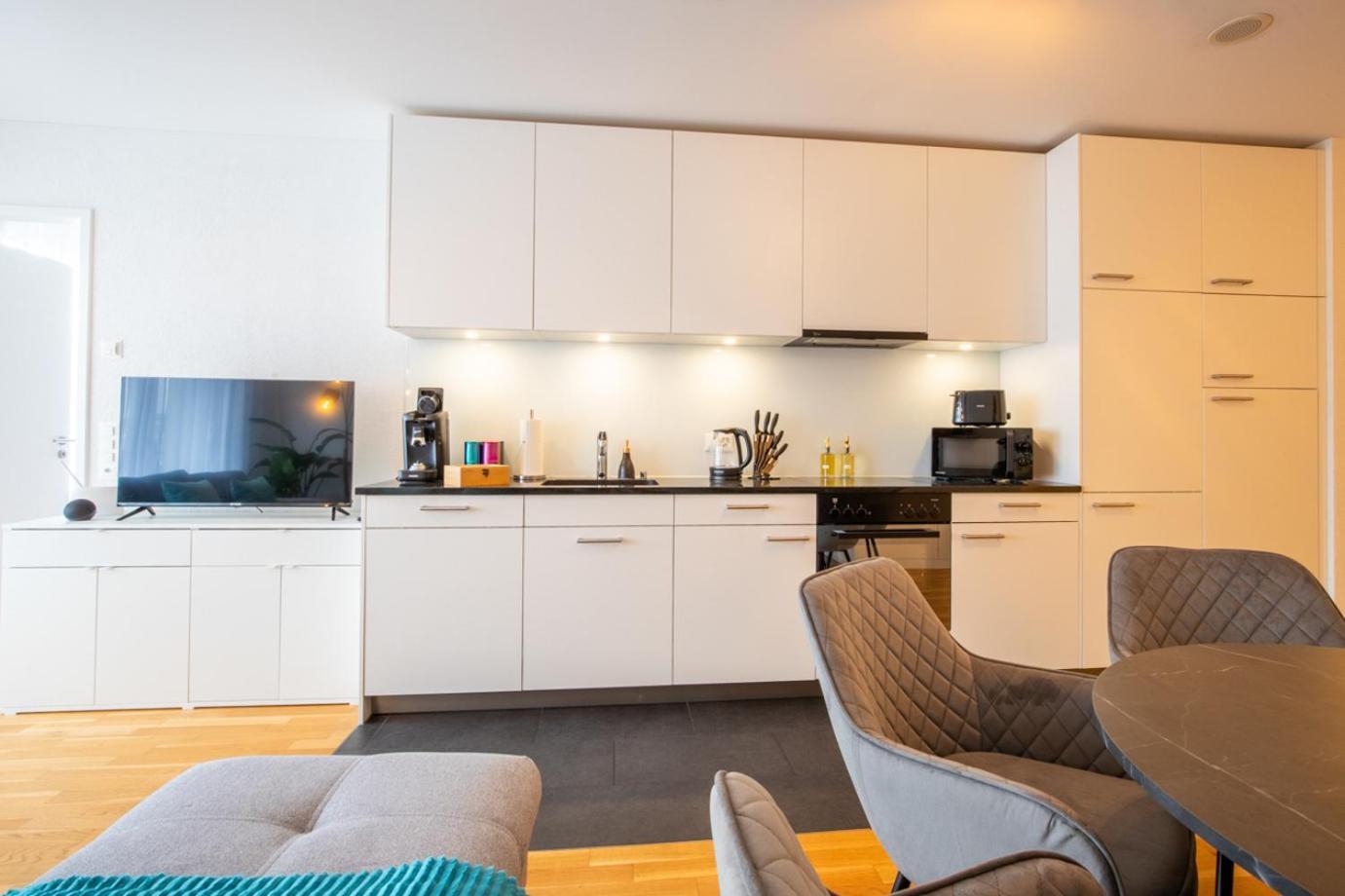 Special Einstein II Apartment Basel, Messe Kleinbasel 10-Star Екстер'єр фото