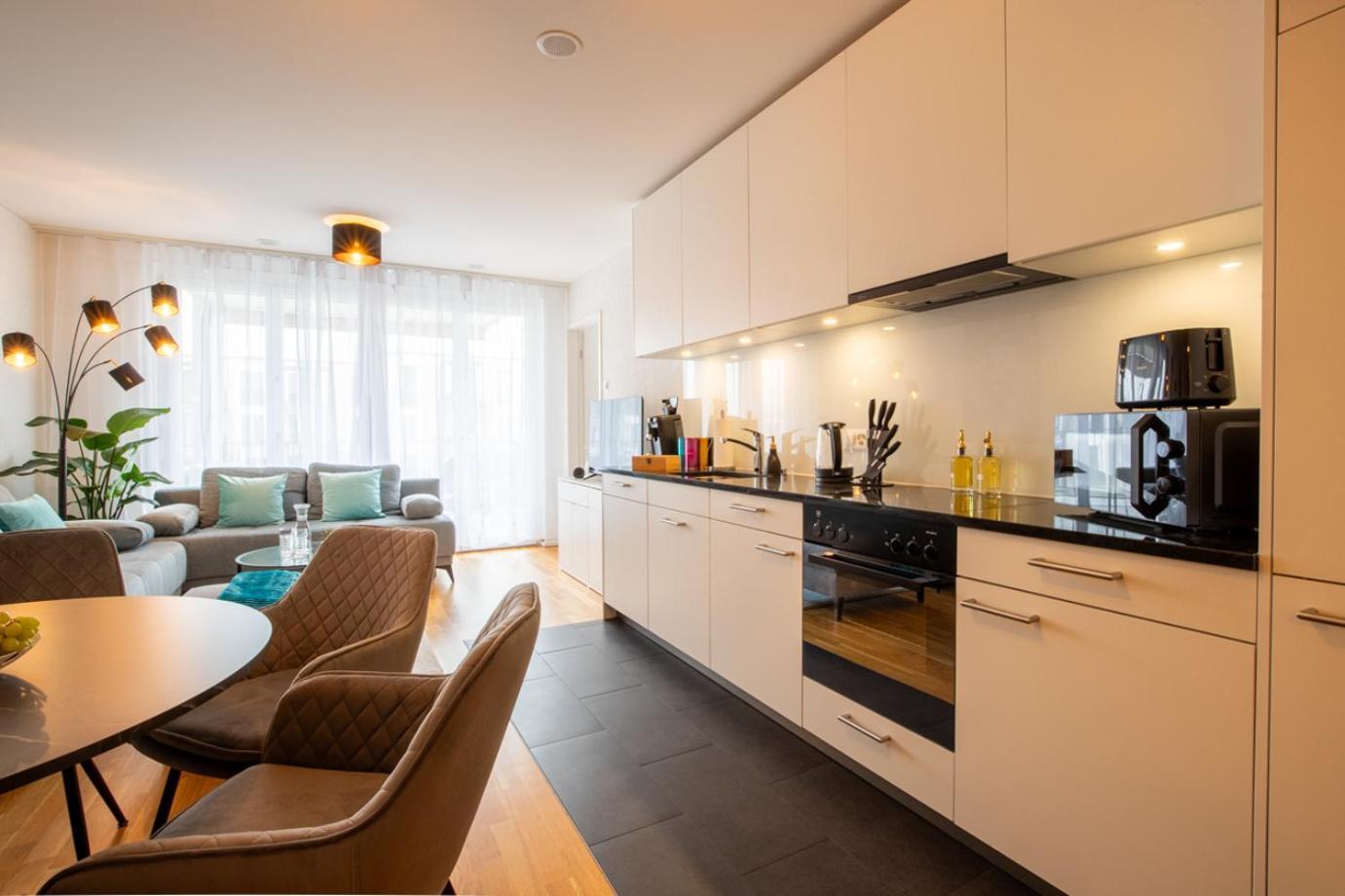 Special Einstein II Apartment Basel, Messe Kleinbasel 10-Star Екстер'єр фото